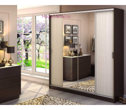 Шкаф-купе "Альянс 2 венге/дуб"